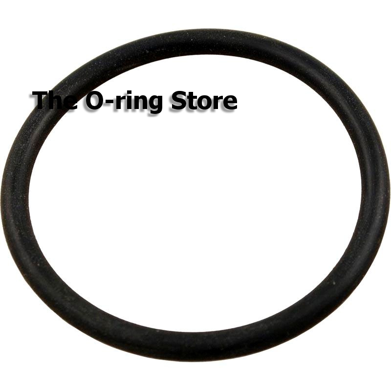 (image for) O-Ring for SX220Z2 Hayward Large Pro Series O-ring-(1995 & Prior)